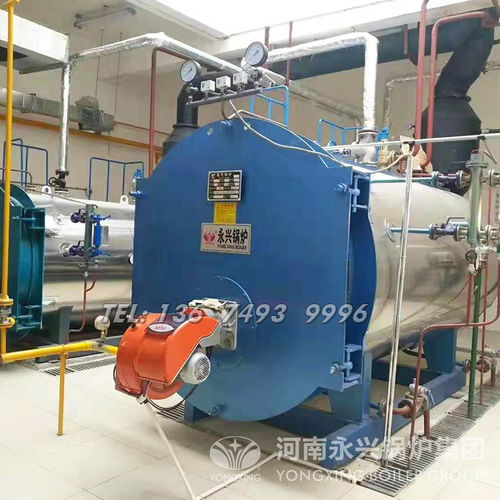 1噸燃?xì)庹羝仩t選購指南 市場行情與出廠價(jià)格解析